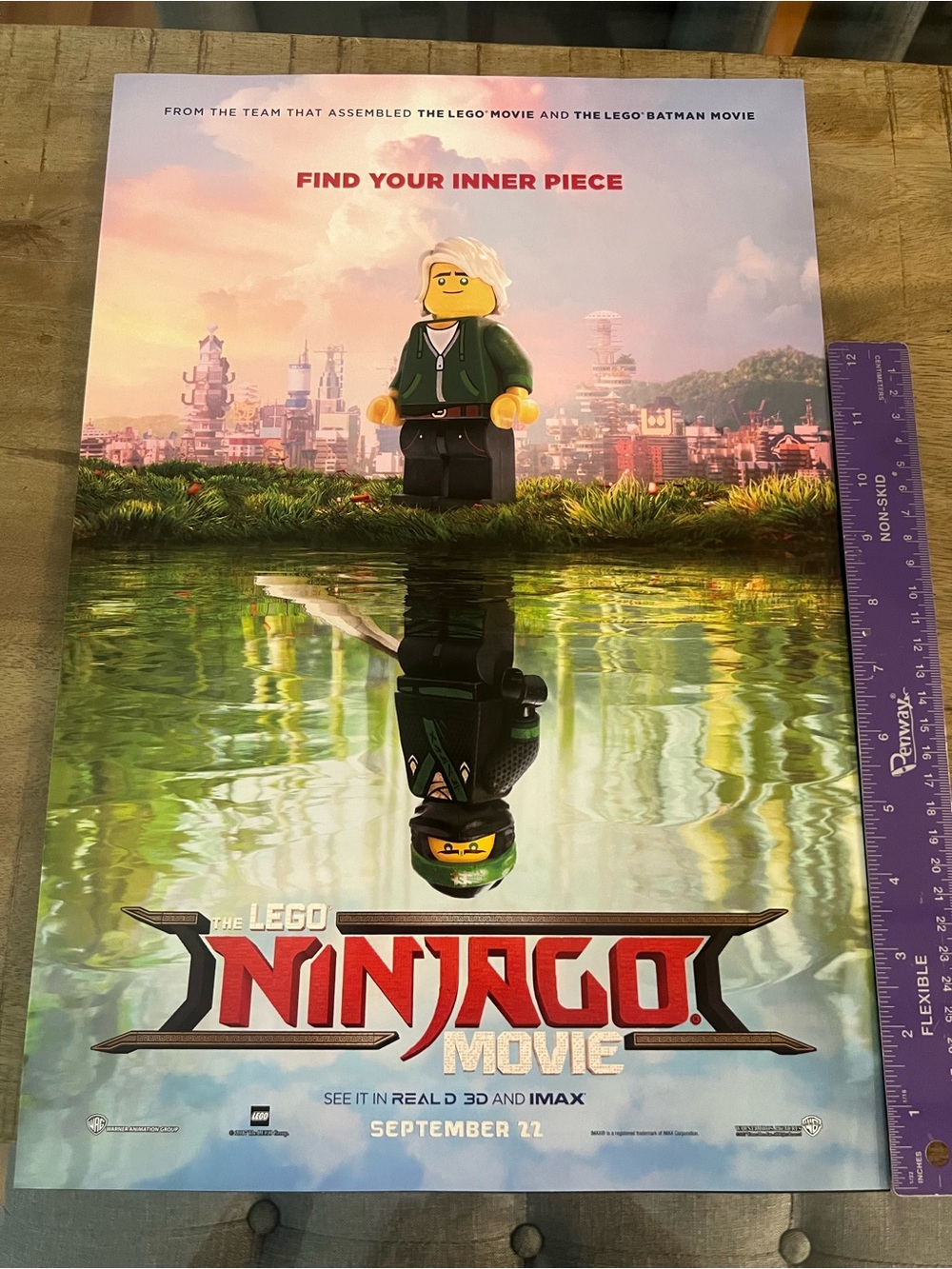 2017 The LEGO Ninjago Movie Poster - Green & Red